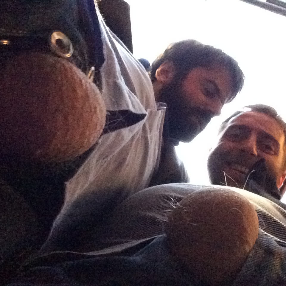 Escapade à Bruxelles